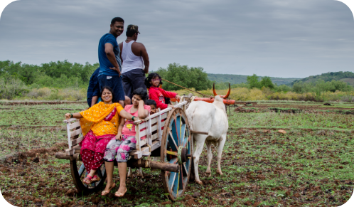 Livelihood Generation in Agriculture